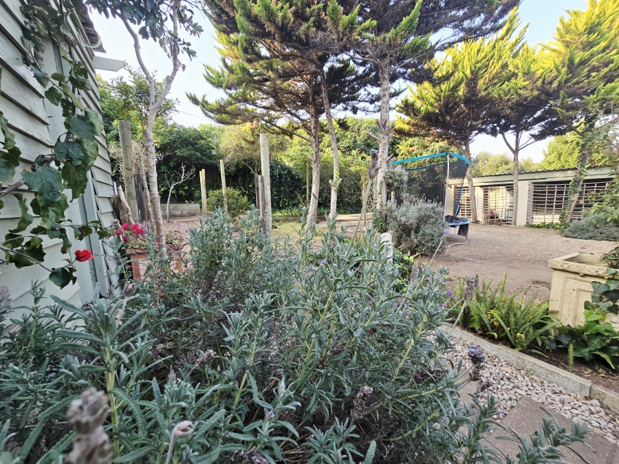 3 Bedroom Property for Sale in Wilderness Central Western Cape